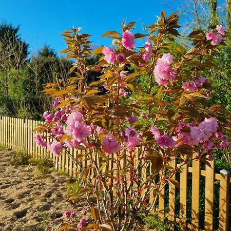 D'hôtes Slow Living Près D'yquem - Dégustations En Pleine Conscience *